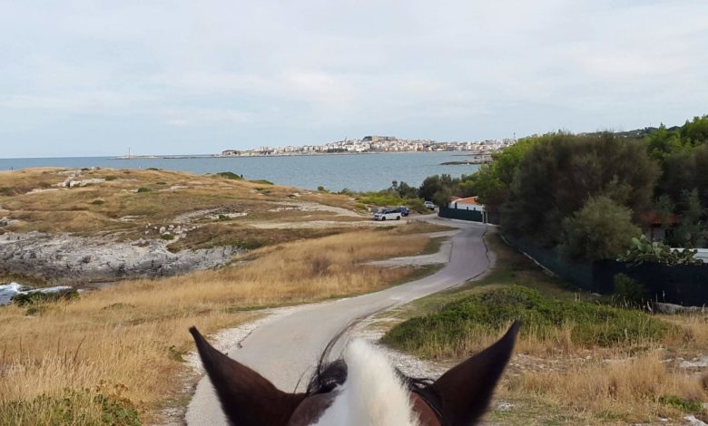 escursione a cavallo vieste